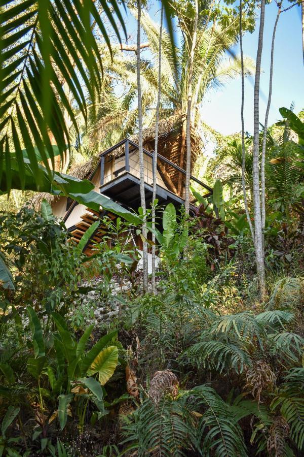 Вилла Bohemia Experience Playa Santa Teresa  Экстерьер фото
